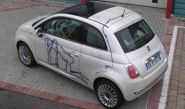 Fiat 500 fleet - Wrapped by Totally Dynamic North London