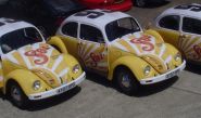 VW Beetles - wrapped by Totally Dynamic Norwich