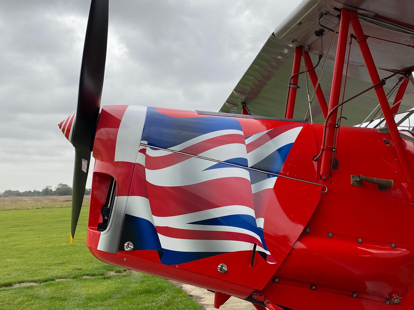 Tiger_Moth_image_2.jpg