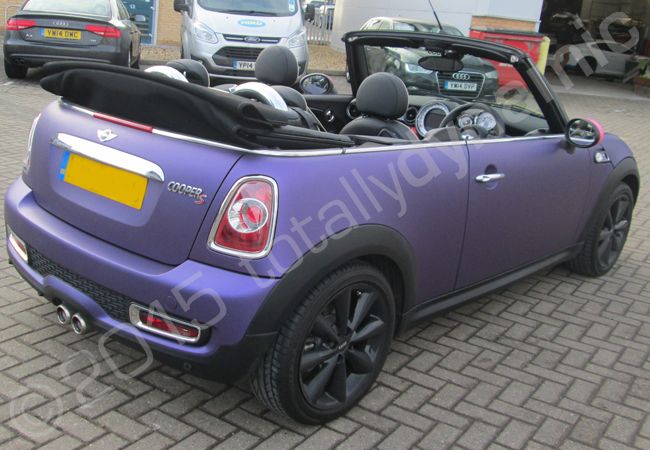 Purple_MINI.jpg