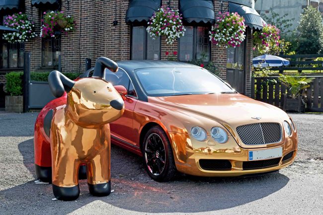 Dave the Dog - fully wrapped in printed chrome vinyl