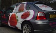 Rover 216 - designed and wrapped by Totally Dynamic Norwich